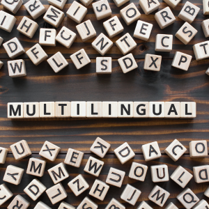 MULTILINGUAL PHRASE-BASED SEARCH AND TERMINOLOGY VERIFICATION IN THE EU CORPUS